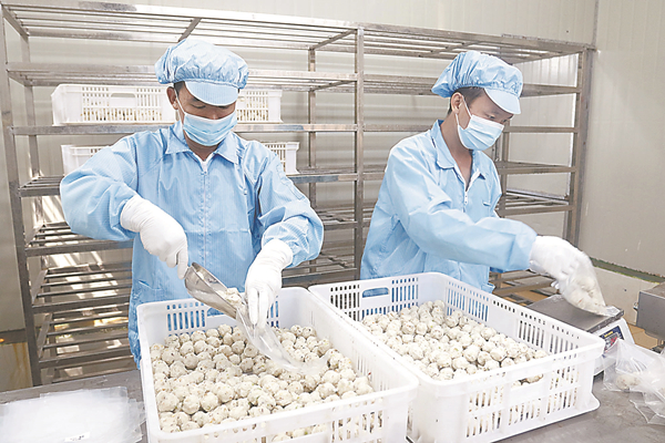 汕尾魚丸工廠消防維保 汕尾魚丸工廠消防維保