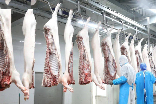 云浮生豬屠宰加工工廠消防維保 云浮生豬屠宰加工工廠消防維保